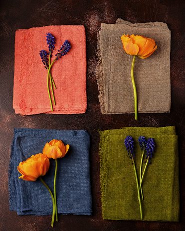 Tulips and muscari are laid out on the table on different colored fabrics, coloristics, color combinations, fashionable shades