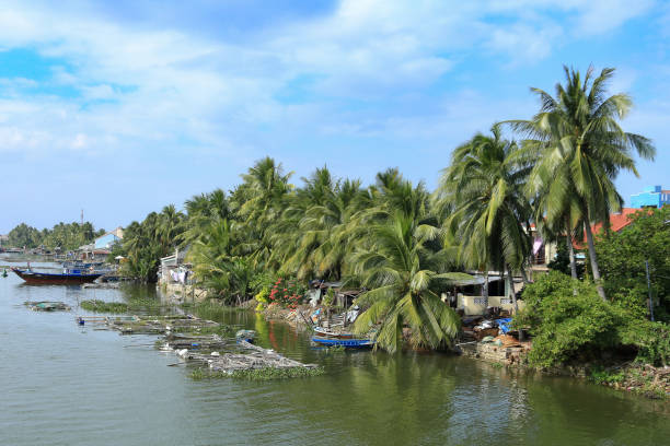 istock Best of Vietnam 1983616930