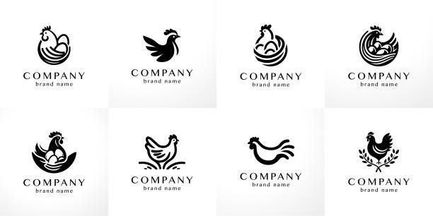 illustrazioni stock, clip art, cartoni animati e icone di tendenza di elegante collezione di design con logo piatto e minimalista: elementi grafici moderni con forme astratte di pollo in bianco e nero - uovo alimento di base