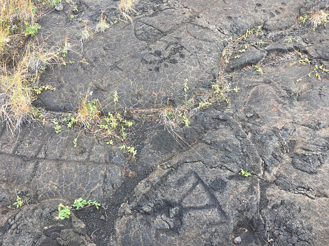 Petroglyphs on lava beds, Pu‘uloa Petroglyphs