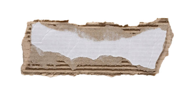 istock piece of white paper tear isolated on white background 1983709703