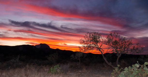 istock Red sunset over stone desert in texas,  Big Bend National Park 1983724048