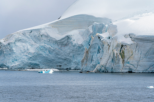Glaciers on shore of Antarctic Peninsula. Ice snow. High quality photo