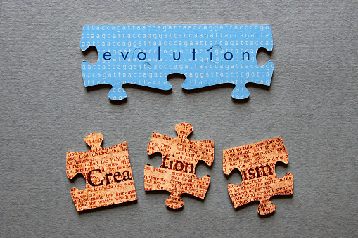 Evolution against background of human genome sequence printed on matched jigsaw pieces with Creationism against background of Genesis text printed on mismatched jigsaw pieces.