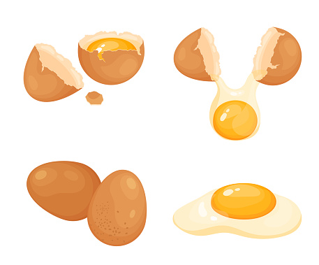 Vector set of chicken eggs in whole and broken condition. Vector illustration