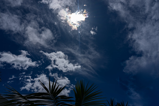Sunburts through clouds in dark blue dramatic  sky above green palm fronds for nature background.