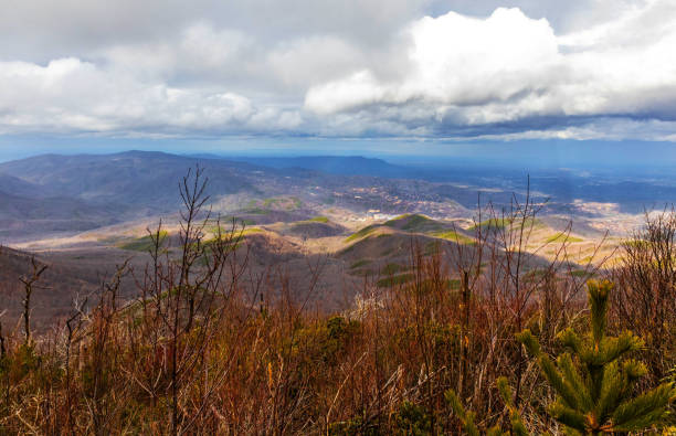 aerial view of great smoky mountains national park - gatlinburg waterfall smoke usa - fotografias e filmes do acervo