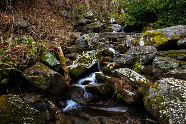 istock Scenic water stream running through the rocks 1983921387