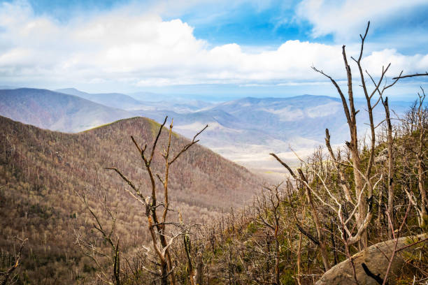 vista aérea do parque nacional great smoky mountains - gatlinburg waterfall smoke usa - fotografias e filmes do acervo