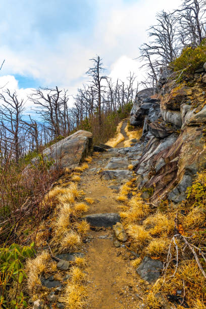 rainbow trail at great smoky mountains national park - gatlinburg waterfall smoke usa - fotografias e filmes do acervo