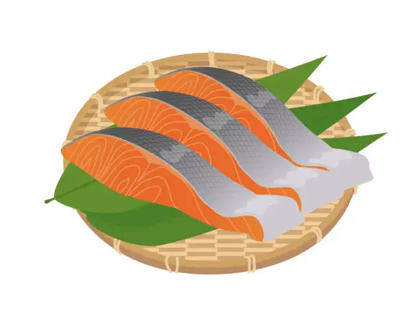 Vector illustration of Salmon fillet in a colander