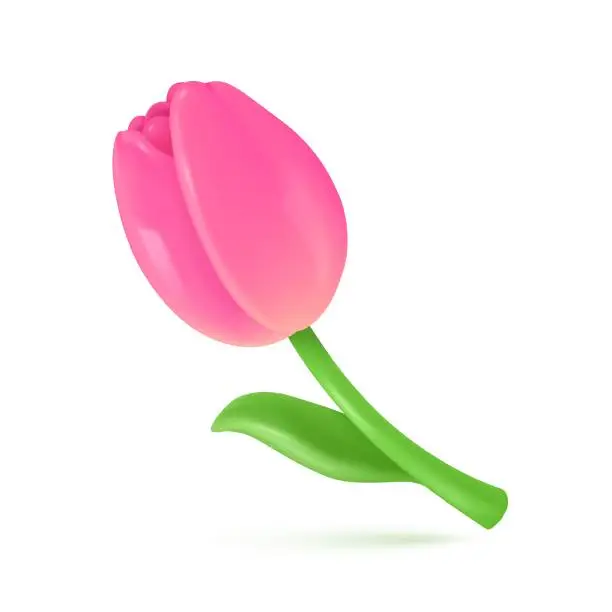 Vector illustration of 3D Tulips. Beautiful flowers given to express congratulations. Giving special gifts for women. 3D vector Illustration.