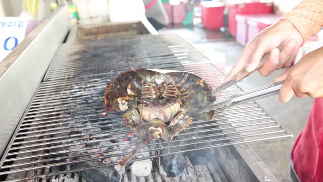 Grilling a Horseshoe Crab at a Market