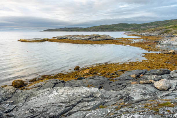istock The Rocky shores 1984348470