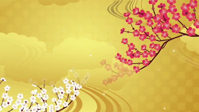 Japanese style background.  illustration video of red plum, white plum and haze golden background