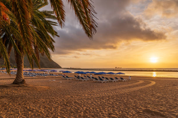 istock Las Teresitas Beach at sunrise time 1984395037