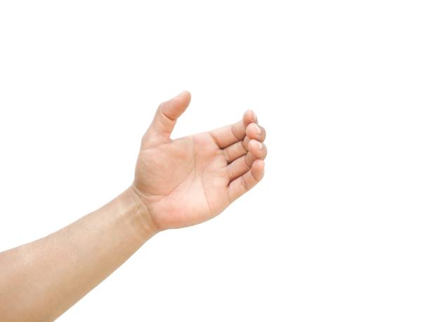 istock Men's hands making gestures like  is holding something  such as a phone or a water bottle  Isolated on white background. 1984449402