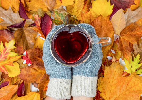 Heart-shaped glass teacup filled with red tea and held by hands wearing gray woolen gloves, slightly out of focus red-yellow foliage in the background, horizontal