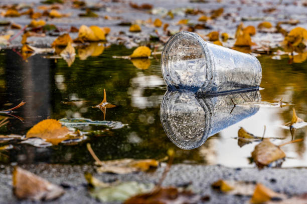 kałuża kolorowych jesiennych liści z odbitym w niej pustym przezroczystym plastikowym kubkiem - regenwetter zdjęcia i obrazy z banku zdjęć