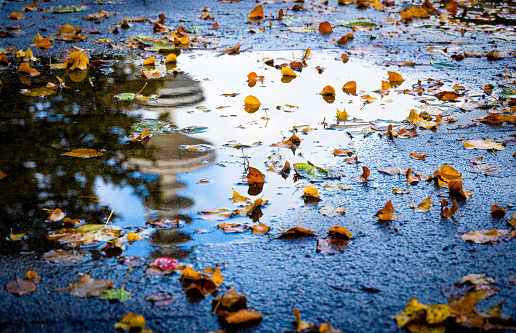 Puddle with autumn leaves in which the Heinrich Hertz Tower of Hamburg is reflected,