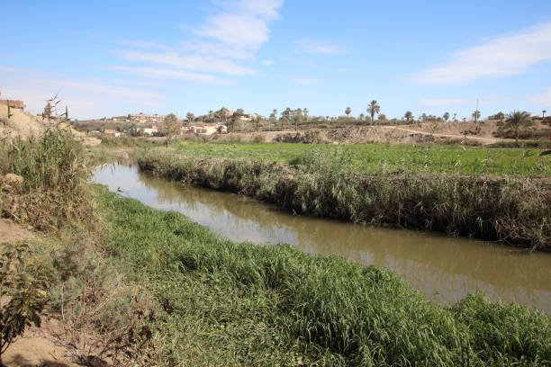 istock stream, water, plantations in a village 1984456249