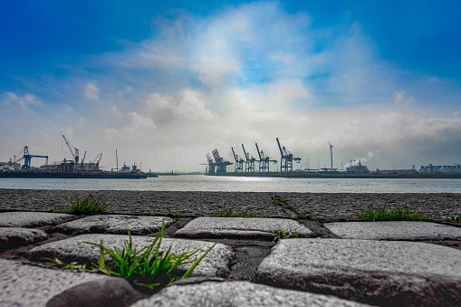 View of harbor cranes and buildings in the port of Hamburg on the other side of the river bank during the day under a cloudy sky, with cobblestones in the foreground and grass growing in between, horizontal