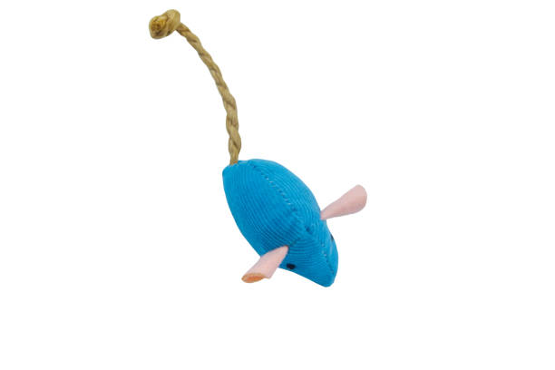 istock Toy mouse for cat isolated on white background 1984462566