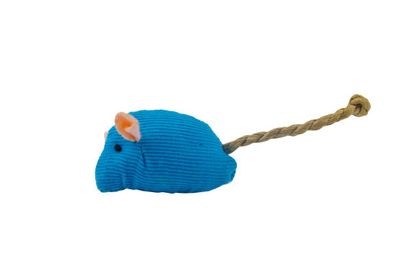 istock Toy mouse for cat isolated on white background 1984462567