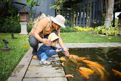 asian father and a young baby relax on a rock while watching the Koi fish swim by