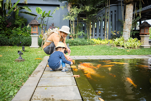 asian father and a young baby relax on a rock while watching the Koi fish swim by