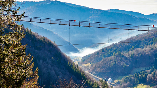 Suspension bridge in the Black Forest