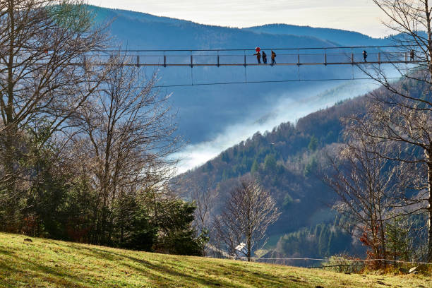 People crossing a Suspension bridge in the Black Forest