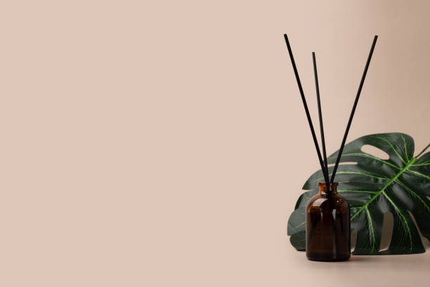 istock Aroma diffuser in a leafy environment, natural background, spa ambiance 1984502315