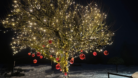 Christams tree outdoor illuminated, red baubles