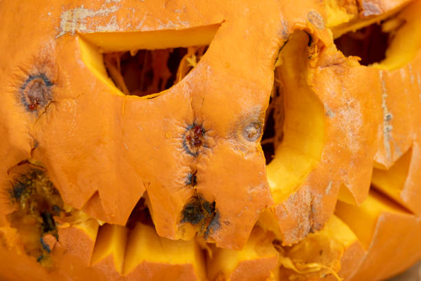carved scary pumpkin head for Halloween