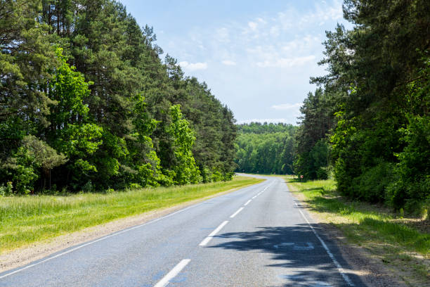 istock paved road with trees in the forest in sunny weather 1984506387