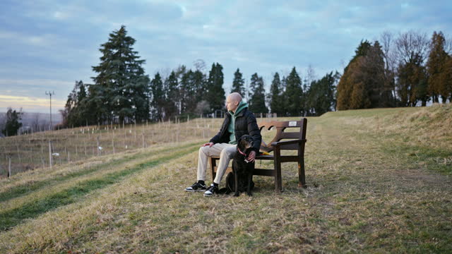 SLO MO Young Bald Man with Cancer in Winter Jacket Sitting on Bench and Stroking Dog in Vineyard During Sunrise