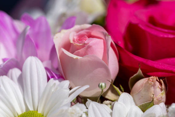 istock a beautiful bouquet combined with different flowers 1984513025