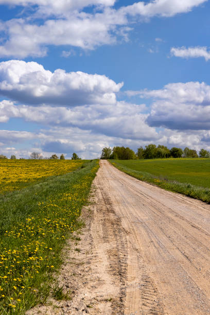 istock unpaved road in rural areas in spring, unpaved road 1984513570