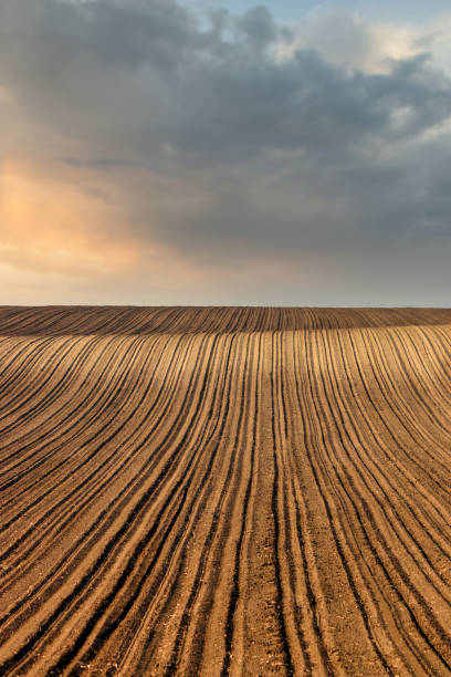 istock Plowed field and sunset sky landscape 1984534835