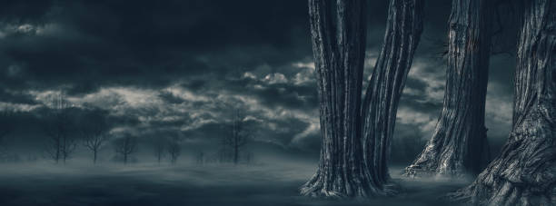 istock Night sky background with dark clouds and trees 1984552117