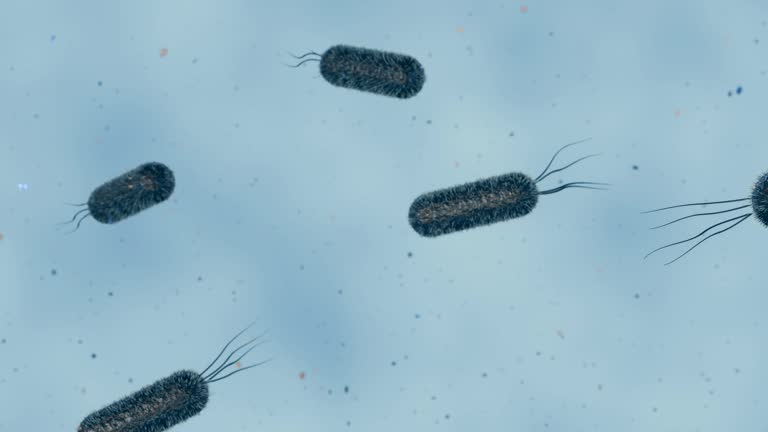 3d animation of motion of Escherichia  coli