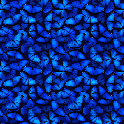 Blue butterflies seamless pattern. Beautiful shimmering background in vibrant blue shades.