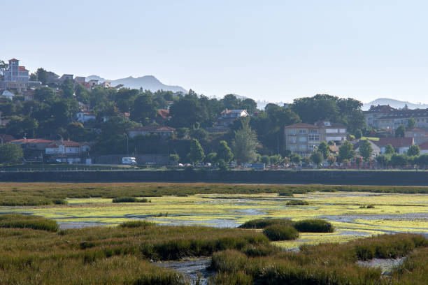 The mouth of the River Minor forming an estuary at low tide