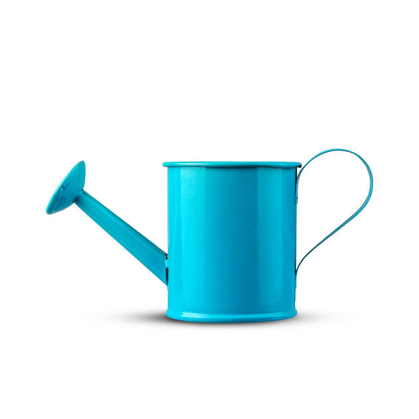 Blue metal watering can for flowers. Isolated on a white background. Design