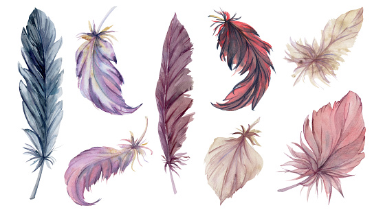 Hand drawn watercolor illustration bird feather plume quill boho tribal ethnic indian. Set of objects isolated on white background. Design for charm, dreamcatcher, scrapbooking, handmade craft, tattoo