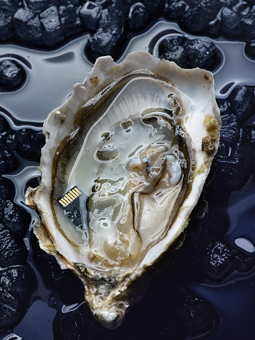 An oyster with a memory card instead of a pearl. Interweaving of ecology, time and technology, conceptual photography.