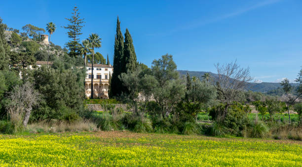 istock Stately Manor Amidst Verdant Gardens and Blossoming Fields in Mallorca 1984672875