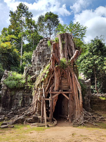 Third eastern gopura, with strangler fig at Ta Som temple, a small temple at Angkor, Cambodia, built at the end of the 12th century for King Jayavarman VII.