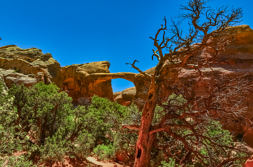 Arches National Park, Utah, United States [Double, Tunnel, Delicate Arch, tower, garden, rock and more]